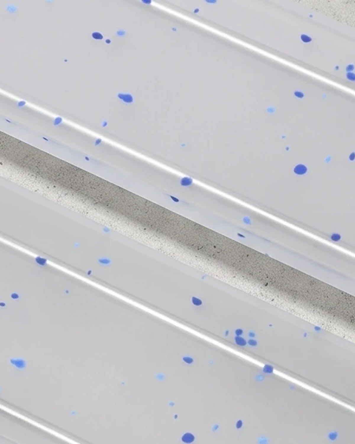 Florist, two-step riser 40 × 14, clear, light-blue flecks: sheet close-up